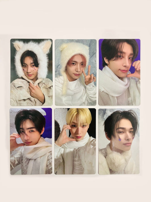 Enhypen Daydream Official Weverse POB Photocards